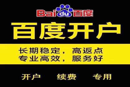 百度竞价广告投放策略案例